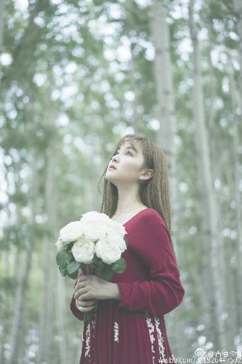 韶华若锦电视剧免费观看